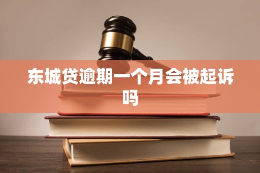 东城贷逾期一个月会被起诉吗 东城贷逾期一个月会被起诉吗