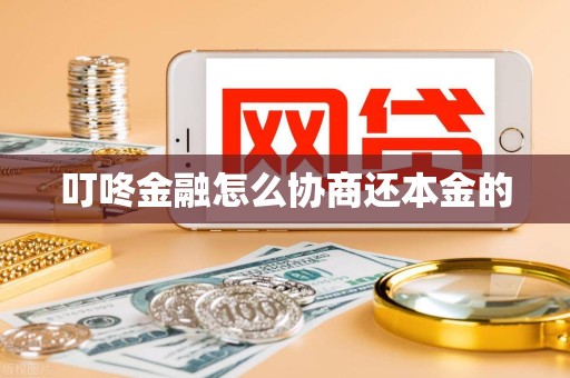 叮咚金融怎么协商还本金的