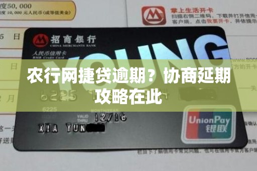 农行网捷贷逾期？协商延期攻略在此