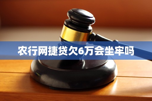 农行网捷贷欠6万会坐牢吗