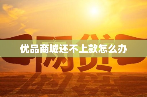 优品商城还不上款怎么办
