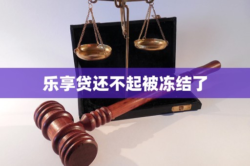 乐享贷还不起被冻结了