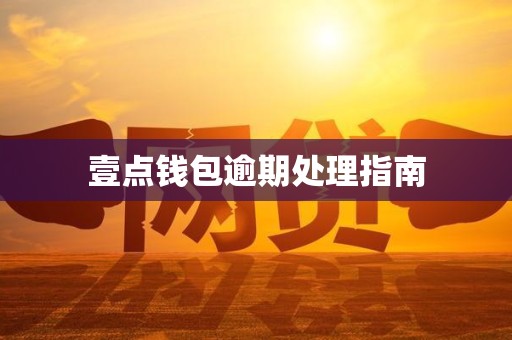 壹点钱包逾期处理指南
