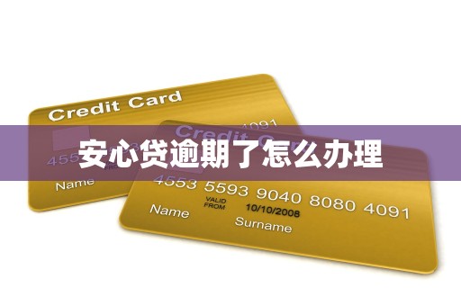 安心贷逾期了怎么办理