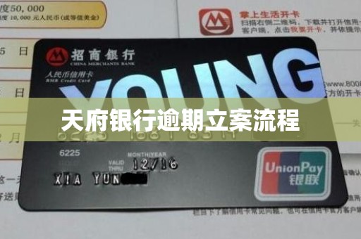 天府银行逾期立案流程