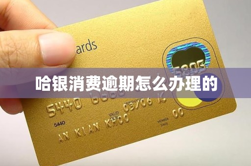 哈银消费逾期怎么办理的