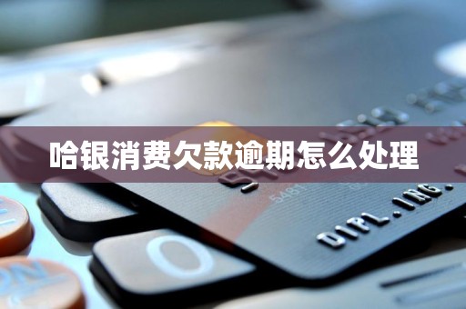 哈银消费欠款逾期怎么处理