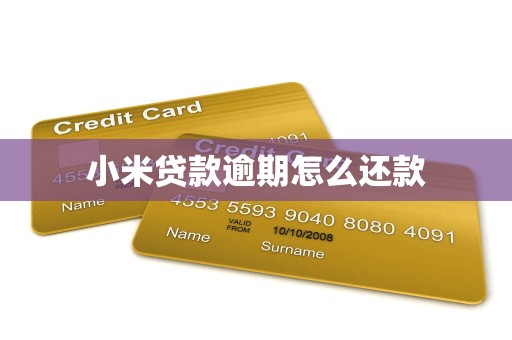 小米贷款逾期怎么还款