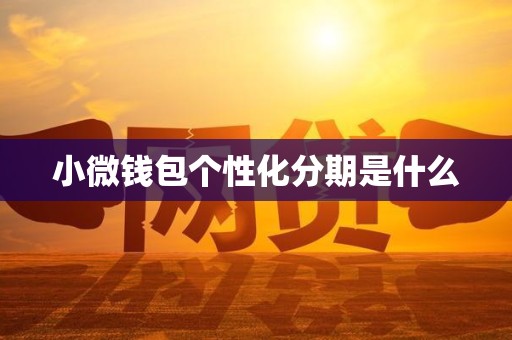 小微钱包个性化分期是什么 小微钱包个性化分期是什么