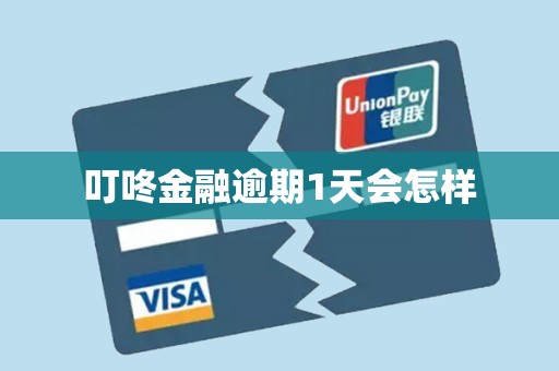 叮咚金融逾期1天会怎样