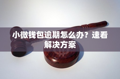 小微钱包逾期怎么办？速看解决方案