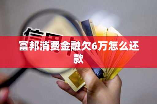 富邦消费金融欠6万怎么还款