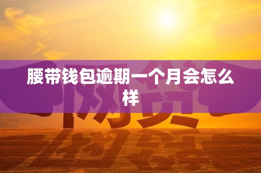 腰带钱包逾期一个月会怎么样