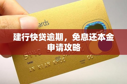 建行快贷逾期，免息还本金申请攻略