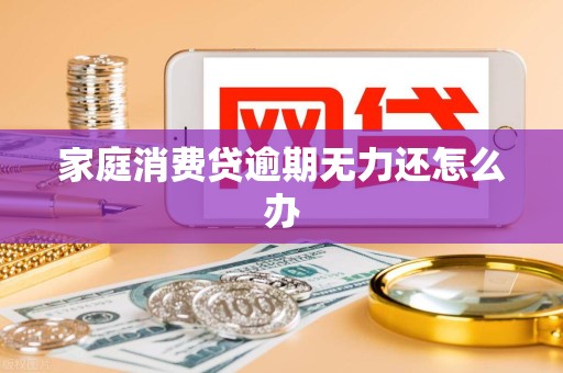 家庭消费贷逾期无力还怎么办