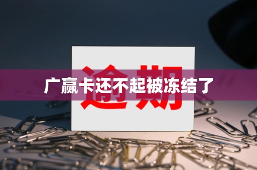 广赢卡还不起被冻结了 广赢卡还不起被冻结了
