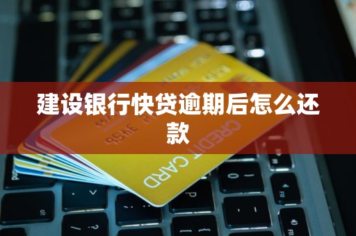 建设银行快贷逾期后怎么还款