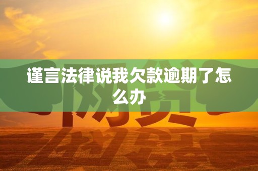 谨言法律说我欠款逾期了怎么办