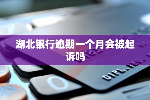 湖北银行逾期一个月会被起诉吗