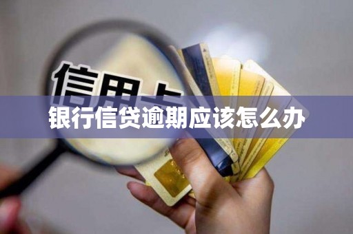 银行信贷逾期应该怎么办 银行信贷逾期应该怎么办