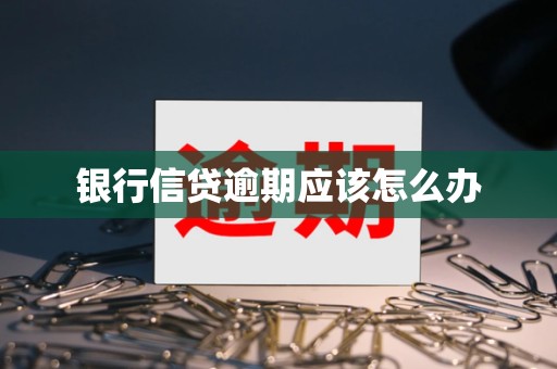 银行信贷逾期应该怎么办 银行信贷逾期应该怎么办