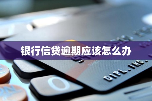 银行信贷逾期应该怎么办 银行信贷逾期应该怎么办