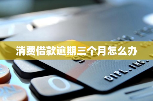 消费借款逾期三个月怎么办