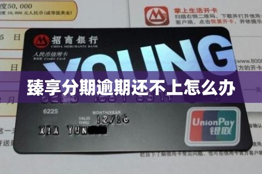 臻享分期逾期还不上怎么办