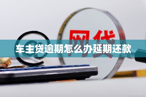 车主贷逾期怎么办延期还款