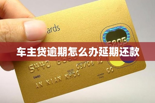 车主贷逾期怎么办延期还款