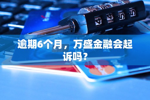 逾期6个月，万盛金融会起诉吗？