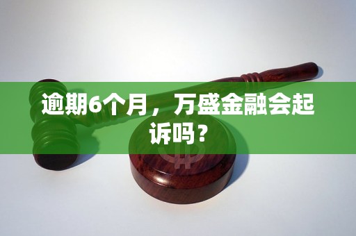 逾期6个月，万盛金融会起诉吗？