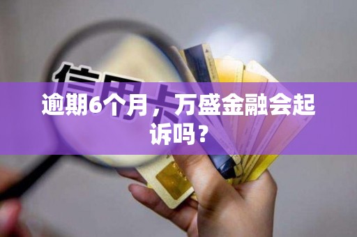 逾期6个月，万盛金融会起诉吗？