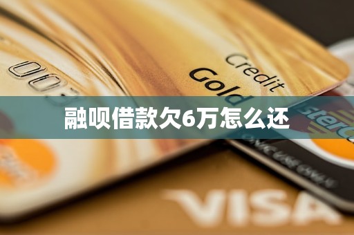 融呗借款欠6万怎么还 融呗借款欠6万怎么还