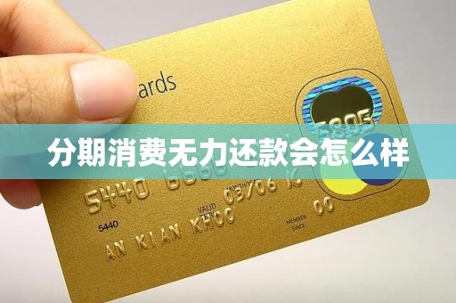 分期消费无力还款会怎么样