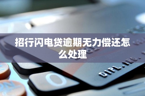 招行闪电贷逾期无力偿还怎么处理