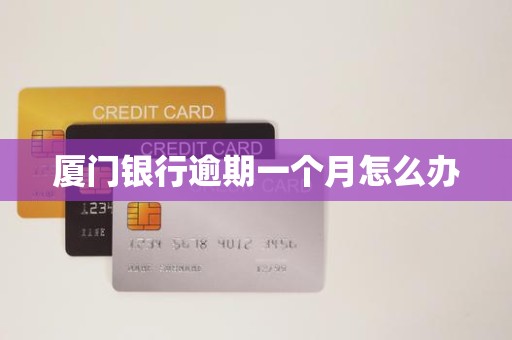 厦门银行逾期一个月怎么办