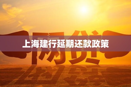 上海建行延期还款政策