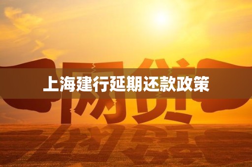 上海建行延期还款政策