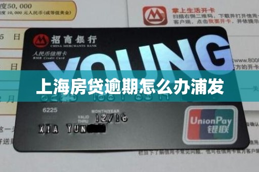 上海房贷逾期怎么办浦发