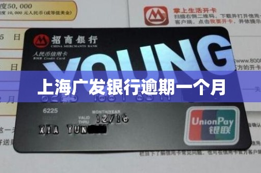 上海广发银行逾期一个月