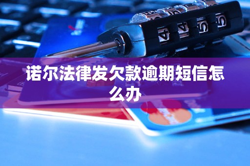 诺尔法律发欠款逾期短信怎么办 诺尔法律发欠款逾期短信怎么办