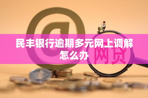 民丰银行逾期多元网上调解怎么办
