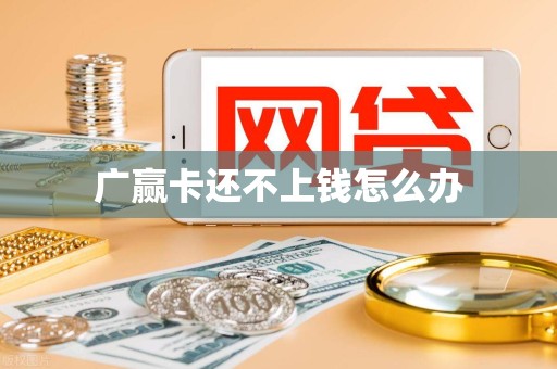 广赢卡还不上钱怎么办