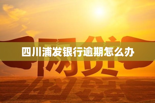 四川浦发银行逾期怎么办