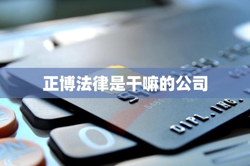 正博法律是干嘛的公司