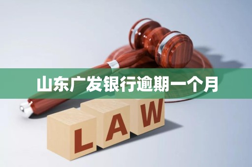 山东广发银行逾期一个月