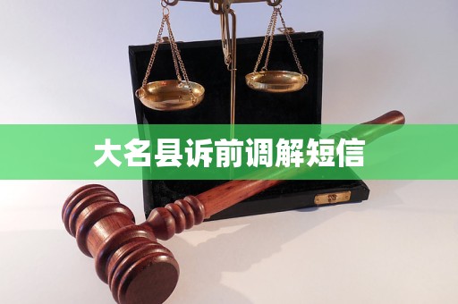 大名县诉前调解短信