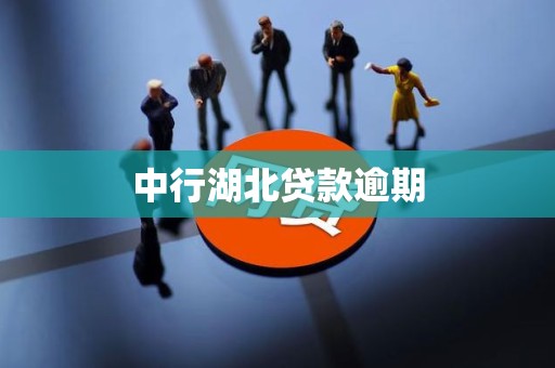 中行湖北贷款逾期 中行湖北贷款逾期