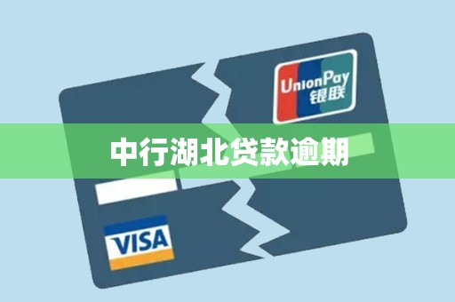 中行湖北贷款逾期 中行湖北贷款逾期